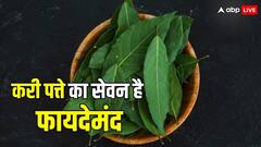ऐसे करें करी पत्ते का सेवन...आसपास भी नहीं भटकेगी बीमारियां! बड़े काम की है ये ट्रिक