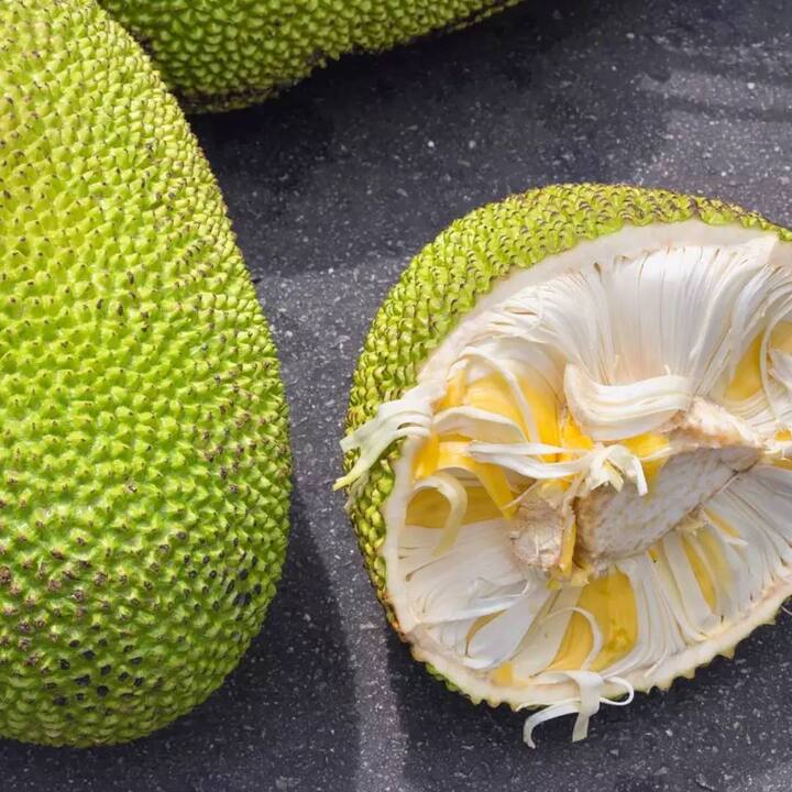 Jackfruit Seed : ਕਟਹਲ ਦੇ ਕਈ ਸਿਹਤ ਲਾਭ ਵੀ ਹਨ ਪਰ ਸਾਰੀਆਂ ਸਬਜ਼ੀਆਂ ਦੀ ਤਰ੍ਹਾਂ ਲੋਕ ਇਸ ਦੇ ਬੀਜ ਵੀ ਸੁੱਟ ਦਿੰਦੇ ਹਨ। ਜਦੋਂ ਕਿ ਕਟਹਲ ਦੀ ਸਬਜ਼ੀ ਦੇ ਬੀਜਾਂ ਵਿੱਚ ਬਦਾਮ ਨਾਲੋਂ ਵੱਧ ਪੌਸ਼ਟਿਕ ਤੱਤ ਹੁੰਦੇ ਹਨ।