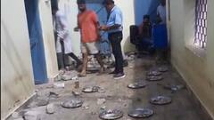 आंधी-तूफान की वजह से गिरी कोरबा के स्कूल की दीवार, 13 बच्चे घायल, सामने आया वीडियो