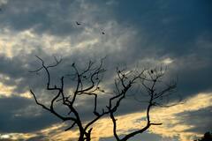 Weather Update Today: आने वाला है तूफान, गिरेंगे ओले गरजेगी बिजली, बंगाल, ओडिशा, झारखंड और यूपी में कैसा होगा मौसम