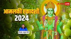 आमलकी एकादशी का क्या है महत्व, जानिए शास्त्रों के अनुसार