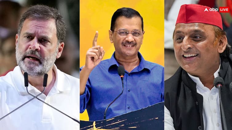 Lok Sabha Elections 2024 Delhi High Court Rejects Plea against Rahul Gandhi Arvind Kejriwal and Akhilesh Yadav Election Commission MHA Lok Sabha Elections 2024: राहुल गांधी, अरविंद केजरीवाल और अखिलेश यादव के खिलाफ नहीं चलेगा मुकदमा, कोर्ट ने खारिज की ये याचिका, जानें माजरा