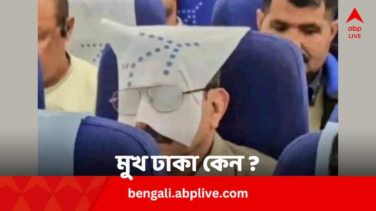 Man Uses Seat Cover As Eye Mask With in Indigo Flight Goes Viral Viral News: ইন্ডিগো ফ্লাইটে কী এমন করলেন ইনি! শোরগোল নেটপাড়ায়