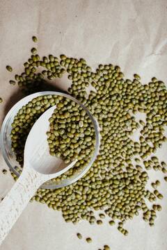 Mung Beans : मूग डाळ आरोग्यासाठी अशाप्रकारे ठरते वरदान !