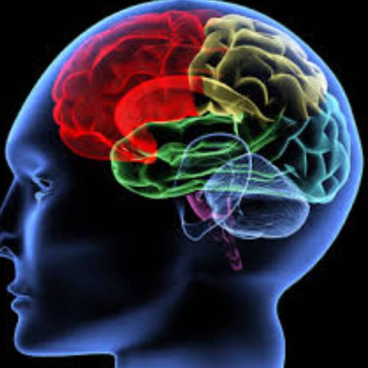 ਮਨੋਵਿਗਿਆਨਕ ਤੱਥ ਇਹ ਵੀ ਕਹਿੰਦੇ ਹਨ ਕਿ ਮਨ ਦਾ ਭਟਕਣਾ ਸੁਭਾਵਿਕ ਹੈ, ਕਿਉਂਕਿ ਜਦੋਂ ਅਸੀਂ ਕੁਝ ਨਵਾਂ ਸਿੱਖਦੇ ਹਾਂ ਤਾਂ ਸਾਡਾ ਮਨ ਭਟਕ ਜਾਂਦਾ ਹੈ। ਸਾਡਾ ਮਨ ਇਕ ਸਮੇਂ ਵਿਚ ਤਿੰਨ ਤੋਂ ਚਾਰ ਚੀਜ਼ਾਂ 'ਤੇ ਇਕਾਗਰ ਹੋ ਸਕਦਾ ਹੈ, ਪਰ ਸਭ ਤੋਂ ਜ਼ਰੂਰੀ ਗੱਲ ਇਹ ਹੈ ਕਿ ਅਸੀਂ ਆਪਣੇ ਮਨ ਨੂੰ ਭਟਕਣ ਤੋਂ ਰੋਕ ਕੇ ਇਕ ਜਗ੍ਹਾ 'ਤੇ ਧਿਆਨ ਕੇਂਦਰਿਤ ਕਰੀਏ।