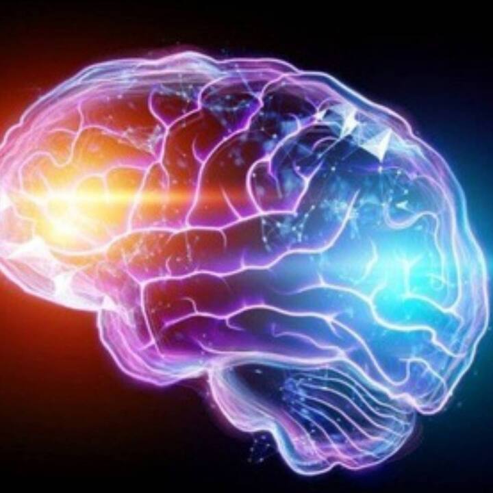 ਮਨੁੱਖੀ ਸੁਭਾਅ ਉਤਸੁਕਤਾ ਨਾਲ ਭਰਿਆ ਹੋਇਆ ਹੈ, ਅਸੀਂ ਆਪਣੀਆਂ ਅੱਖਾਂ ਨਾਲ ਜੋ ਦੇਖਦੇ ਹਾਂ ਉਸ ਨੂੰ ਸਿੱਖਣ ਦਾ ਆਨੰਦ ਮਾਣਦੇ ਹਾਂ। ਇਸੇ ਲਈ ਕਿਹਾ ਜਾਂਦਾ ਹੈ ਕਿ ਜੋ ਵੀ ਅਸੀਂ ਆਪਣੀਆਂ ਅੱਖਾਂ ਨਾਲ ਦੇਖਦੇ ਹਾਂ ਉਤਸੁਕਤਾ ਪੈਦਾ ਕਰਦੇ ਹਾਂ, ਅਸੀਂ ਉਸ ਨਾਲ ਜੁੜੇ ਸਵਾਲ ਪੁੱਛਦੇ ਹਾਂ ਅਤੇ ਉਨ੍ਹਾਂ ਨੂੰ ਸਿੱਖਣ ਦੀ ਕੋਸ਼ਿਸ਼ ਵੀ ਕਰਦੇ ਹਾਂ।