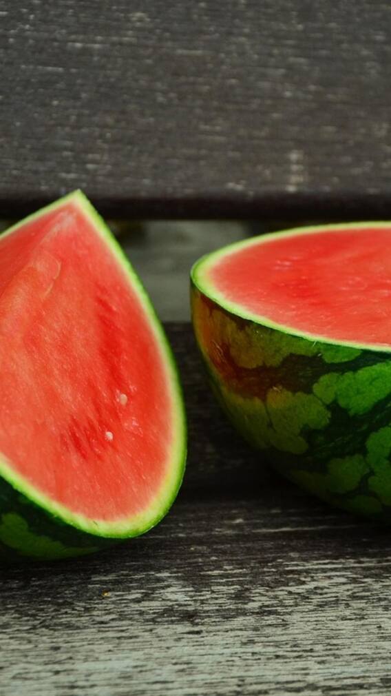 ਇਦਾਂ ਕਰੋ ਤਰਬੂਜ ਦੀ ਖੇਤੀ, ਹੋ ਜਾਓਗੇ ਮਾਲਾਮਾਲ