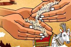 Holi 2024: હોલિકા દહનના દિવસે ભૂલચૂકે પણ ન કરશો આ ચીજોનું દાન, જતી રહેશે સુખ સમૃદ્ધિ