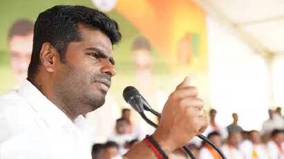 Lok Sabha Election 2024 BJP NDA Alliance Constituency Full List  PMK OPS Lok Sabha Election 2024: தமிழகத்தில் பாஜக கூட்டணியில் எந்தெந்த கட்சிக்கு எந்தெந்த தொகுதி முழு லிஸ்ட் உள்ளே!