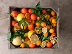 10 Immune-Boosting Foods To Stay Healthy Year-Round