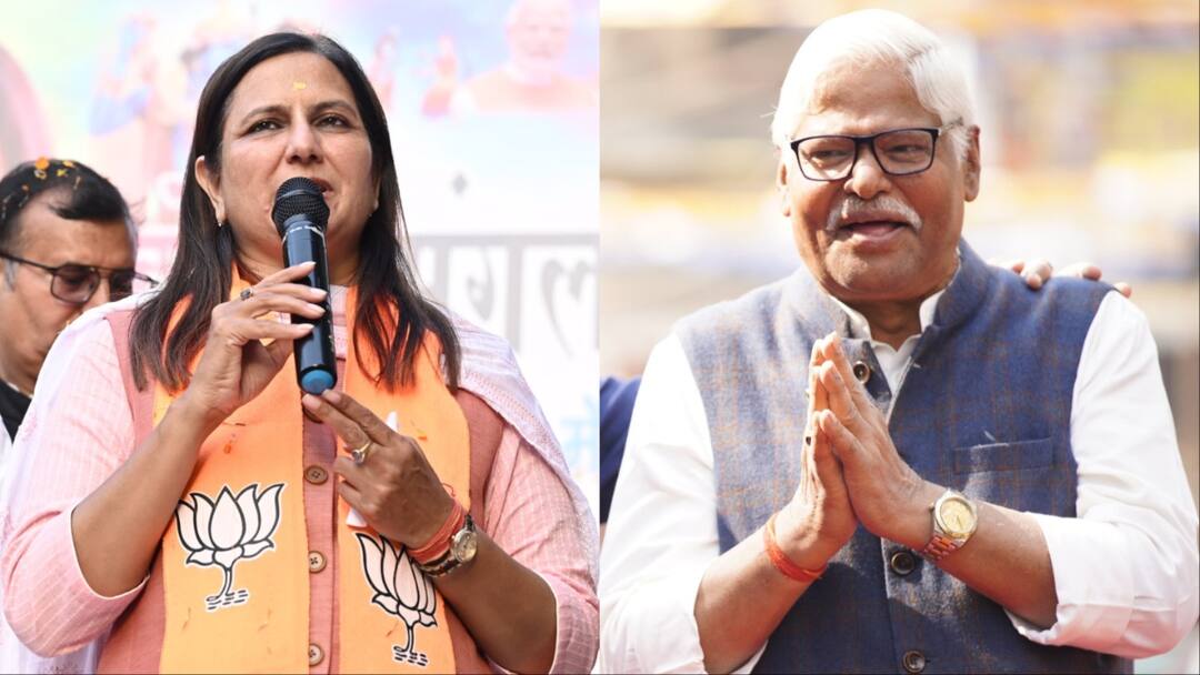 पश्चिमी दिल्ली लोकसभा सीट पर फिर चलेगा मोदी मैजिक? I.N.D.I.A गठबंधन के महाबल दिखा पाएंगे बल Lok Sabha Election 2024 West Delhi Seat PN Narendra Modi magic INDIA Alliance Candidate Mahabal Mishra ann पश्चिमी दिल्ली लोकसभा सीट पर फिर चलेगा मोदी मैजिक? I.N.D.I.A गठबंधन के महाबल दिखा पाएंगे बल