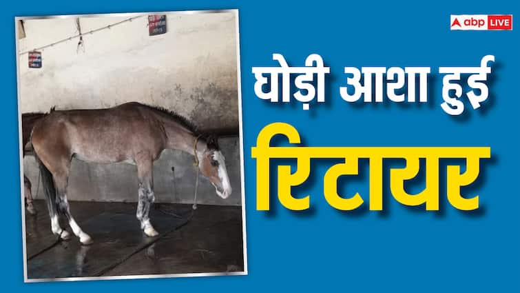 Udaipur police department declared mare kandom working since 2009 providing law and order services ann उदयपुर में पुलिस विभाग ने घोड़ी को किया कंडम घोषित, 15 साल से कानून व्यवस्था में दे रही थी सेवाएं