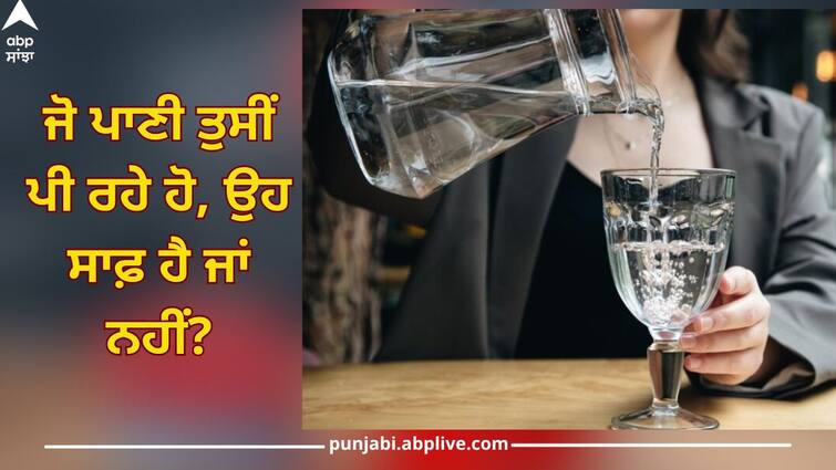 World Water Day 2024: drinking water is pure or not, Check quality of water in these easy ways abpp World Water Day 2024: ਜੋ ਪਾਣੀ ਤੁਸੀਂ ਪੀ ਰਹੇ ਹੋ, ਉਹ ਸਾਫ਼ ਹੈ ਜਾਂ ਨਹੀਂ? ਇਨ੍ਹਾਂ ਤਰੀਕਿਆਂ ਨਾਲ ਪਾਣੀ ਦੀ ਗੁਣਵੱਤਾ ਚੈੱਕ ਕਰੋ