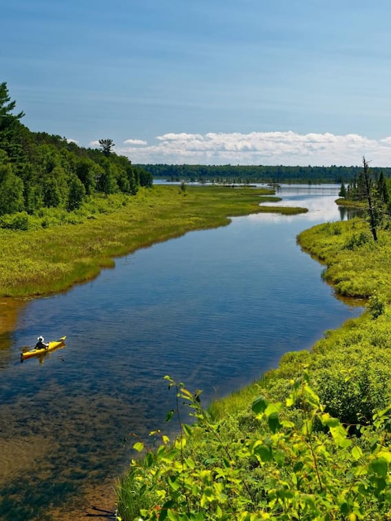 ​इन दो देशों में बहती है बिहार की ये नदी