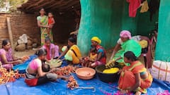 बस्तर में नक्सल पीड़िताओं को मिला नया रोजगार, सब्जियों-पलाश से ऐसे बना रहीं हर्बल गुलाल