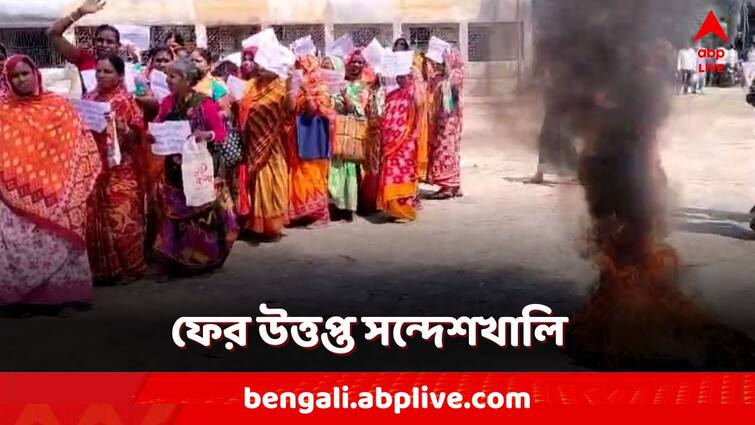 Sandeshkhali Incident North 24 parganas Villagers protest against TMC Leader for not giving due payment Sandeshkhali Agitation: কাজ করিয়েও 'লোপাট' প্রাপ্য! সন্দেশখালিতে ফের বিক্ষোভের আগুন