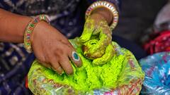 Holi 2024: রং খেলায় নেই বাধা, ত্বকের পরিচর্যায় মেনে চলুন এই নিয়মগুলি