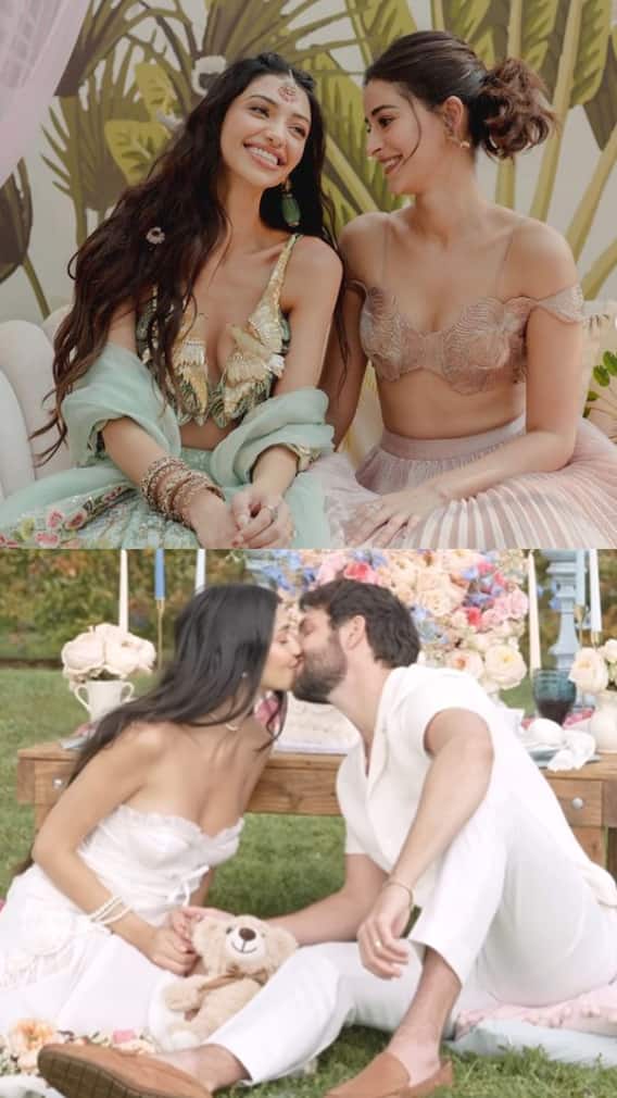 अनन्या की बहन का होने वाला बच्चा लड़का होगा या लड़की? वीडियो में किया जेंडर रिवील