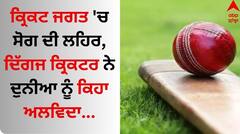 Cricketer Died: ਕ੍ਰਿਕਟ ਜਗਤ 'ਚ ਸੋਗ ਦੀ ਲਹਿਰ, ਦਿੱਗਜ ਕ੍ਰਿਕਟਰ ਨੇ ਦੁਨੀਆ ਨੂੰ ਕਿਹਾ ਅਲਵਿਦਾ