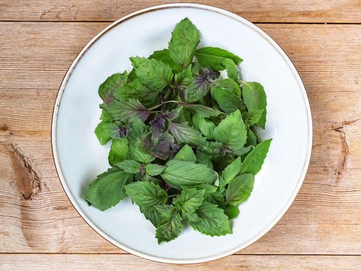 Basil/Tulsi: This aromatic herb is referred to as an ‘Elixir of Life’ in ayurveda due to its enormous health benefits. Tulsi helps us fight against common cold (viral), throat  and lung (bacterial) infections, besides being an efficient antioxidant.  (Image source: getty images)