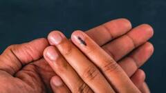 किसी भी चुनाव में इस्तेमाल होने वाली स्याही कौनसी कंपनी बनाती, क्या है इसका फॉर्मूला