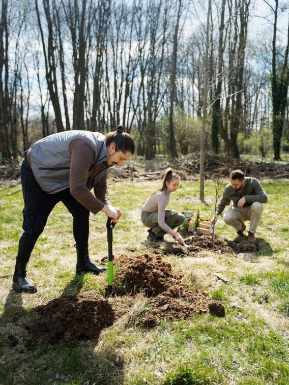 बंजर जमीन को हरा भरा बनाने के लिए करें ये तीन काम
