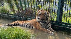 International Forests Day: बच्चों को लुभा रहा गोरखपुर का यह चिड़िया घर, सैलानियों की उमड़ रही भीड़, देखें तस्वीर