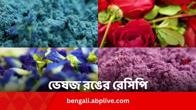 Holi 2024 Make Eco Friendly Colors At Home Know Easy Recipe In Bengali Holi 2024: চুল, ত্বকের ক্ষতির ভয় নেই, ঘরেই বানিয়ে ফেলুন প্রাকৃতিক রং, রইল সহজ রেসিপি