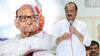Sharad Pawar On Ajit Pawar : अजितदादांच्या राष्ट्रवादीला लवकरच गळती, शेवटचा डाव अजूनही बाकी, शरद पवारांच्या एका वक्तव्यानंतर चर्चेला उधाण!