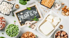 Health: શાકાહારી લોકો માટે પ્રોટીનનો ઉત્તમ સોર્સ છે આ ફૂડ, જાણો શરીર માટે કેમ અનિવાર્ય?