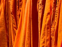 Colours That You Can Wear This Holi To Stand Out In The Crowd