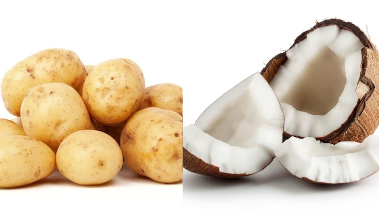 kitchen tips how to keep vegetables fresh Kitchen Tips:ஃப்ரிட்ஜே இல்லாமல் காய்கறிகள் ப்ரெஷ்ஷாக இருக்க வேண்டுமா? இன்னும் பல பயனுள்ள குறிப்புகள்!!