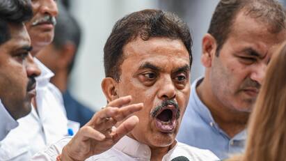 BJP In Touch With Congress Sanjay Nirupam Maharashtra Unit Chief Responds After Ashok Chavan, Is BJP In Touch With Sanjay Nirupam? Maharashtra Unit Chief Responds