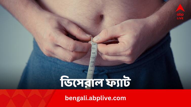 Smoking Is Causing Visceral Fat Know Why It Is More Dangerous Than Normal Fat In Bengali Smoking Effects: ধূমপান বাড়াচ্ছে ভিসেরাল ফ্যাট,  কী এটি ? কেন সাধারণ মেদের থেকেও বেশি ক্ষতিকর ?