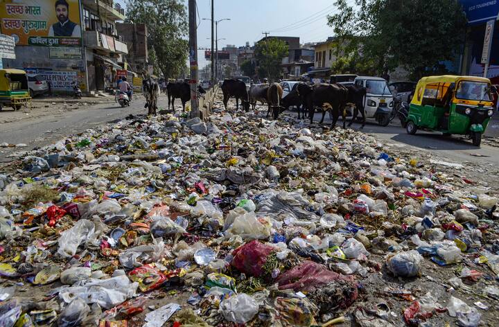 हालांकि कई बार देखा जाता है कि एक ही जगह पर कई दिनों से कूड़ा फेंका जाता है, जिससे वो धीरे-धीरे एक बड़े ढेर में तब्दील हो जाता है.