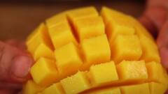 Aamras: பிரதமர் மோடி விரும்பி சாப்பிடும் ஆம்ரஸ் - செய்றது ரொம்பவே ஈசி - ரெசிபி இதோ!