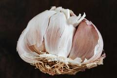 Garlic Benefits :  लसूण आरोग्यासाठी ठरते एक वरदान !