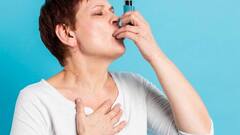 Holi 2024: होली में केमिकल वाले रंग-गुलाल फेफड़ों में बढ़ा सकते हैं इंफेक्शन, अस्थमा के मरीज इस तरह रखें ख्याल