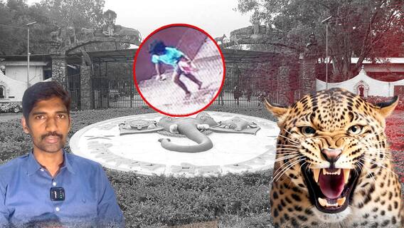 Tiger Attack At Tirupati | అలిపిరి మెట్ల మార్గంలో దాడి చేసిన చిరుతను గుర్తించిన అధికారులు | ABP