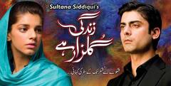 'जिंदगी गुलजार है' से लेकर 'सुनो चंदा' तक मस्ट वॉच हैं ये पाकिस्तानी शोज, इस ओटीटी पर करें बिंज वॉच