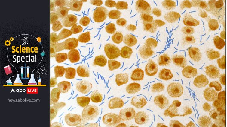 World Tuberculosis Day Multidrug Resistant TB Innovative Treatment Phage Therapy Precision Medicine Repurposed Drugs Combination Therapy ABPP Phage Therapy, Precision Medicine – Innovative Treatment Options To Combat Multidrug-Resistant Tuberculosis