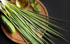 Onion Farming tips: ਹਰੇ ਪਿਆਜ ਦੀ ਖੇਤੀ ਕਰਨ ਲਈ ਅਪਣਾਓ ਇਹ ਤਰੀਕੇ, ਹੋਵੇਗਾ ਚੰਗਾ ਫਾਇਦਾ