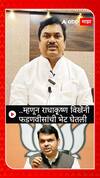 Ram Shinde On Fadnavis :  