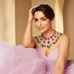 Malaika Arora Photos: కళ్లలో కవ్వింపు పోలేదు ఒంట్లో మెరుపు తగ్గలేదు ఫిట్ నెస్ కి తిరుగులేదు - మలైకా ఇలా ఎలా!