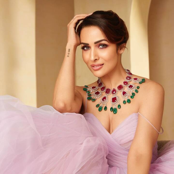 మలైకా అరోరా సినిమాలతో కన్నా అర్జున్ కపూర్ తో డేటింగ్ వార్తలతోనే మరింత పాపులర్ అయింది