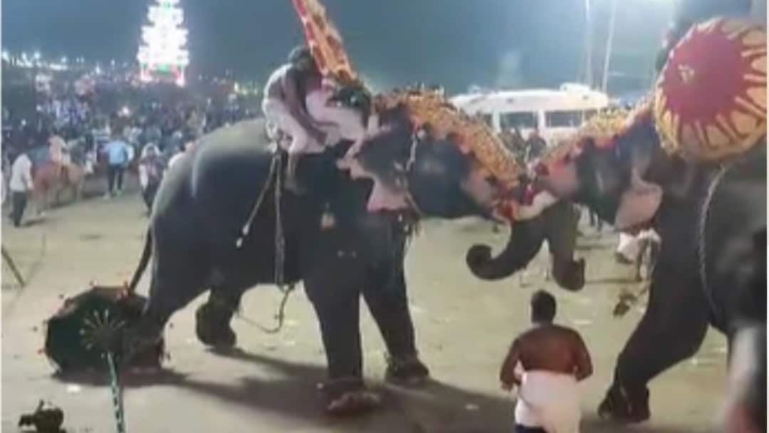 Elephant Tharakkal Temple Festival Kerala: Chaos Erupts As Jumbo Goes On Rampage At Thrissur Kerala: Chaos Erupts As Elephant Goes On Rampage At Tharakkal Temple Festival In Thrissur
