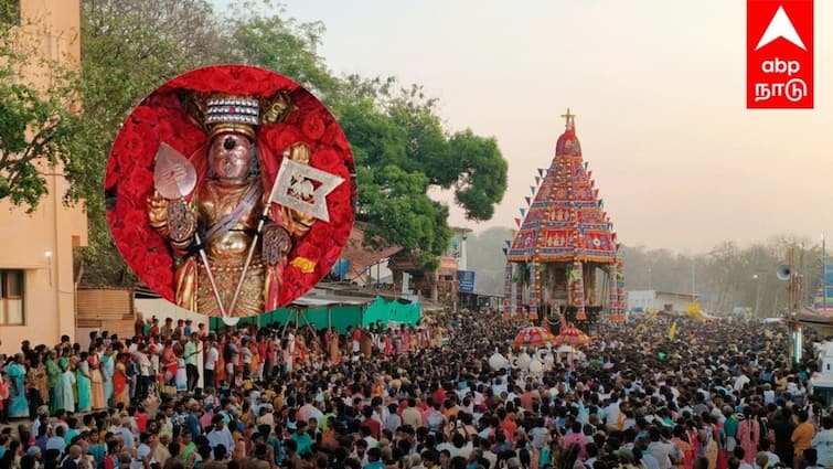 Panguni Uthiram 2024 Peacock Murugan Temple Panguni Uthiram Chariot Panguni Uthiram 2024: மயிலம் முருகன் கோயில் பங்குனி உத்திர தேரோட்டம்! லட்சக்கணக்கில் குவிந்த பக்தர்கள்!