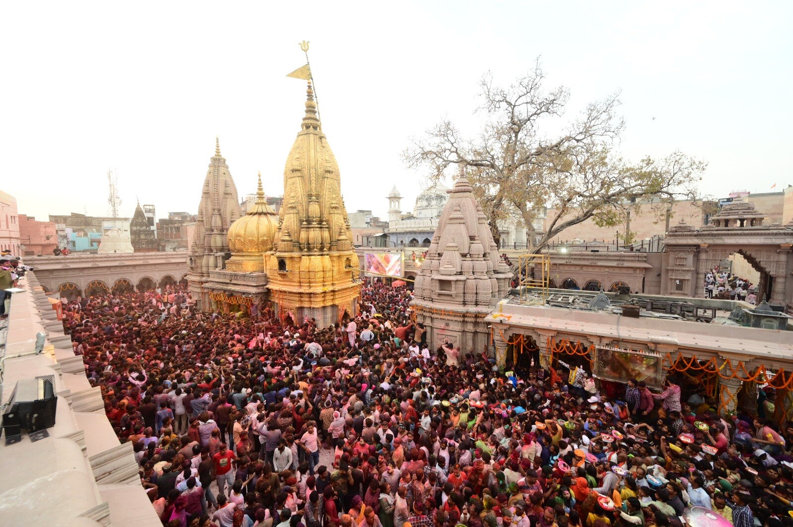 Rangbhari Ekadashi 2024: काशी विश्वनाथ मंदिर में भक्तों का तांता, बाबा के गौना में पहुंचे 10.5 लाख से अधिक श्रद्धालु