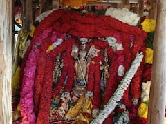 Mailam Therottam 2024 : மயிலம் தேரோட்ட திருவிழாவில் பங்குபெற்ற திரளான பக்தர்கள்!