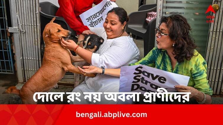 Holi 2024 Why Pet Should Be Protected From Colors Know From Experts In Bengali Dol Purnima abpp Holi 2024 Health Tips: দোলে অবলা প্রাণীদের রং দেওয়া কেন উচিত নয় ? কী হয় এতে ?